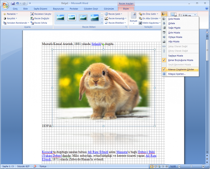 Office 2007 Resim Araçları