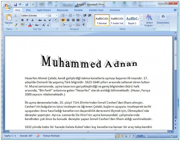 Office 2007 Word Art