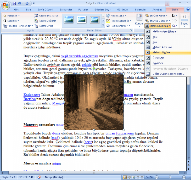 Office 2007 Resim Araçları