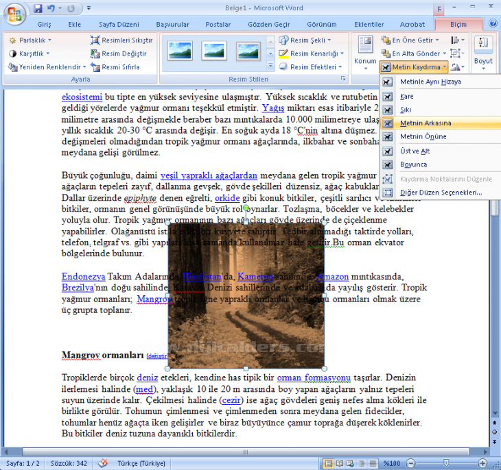Office 2007 Resim Araçları