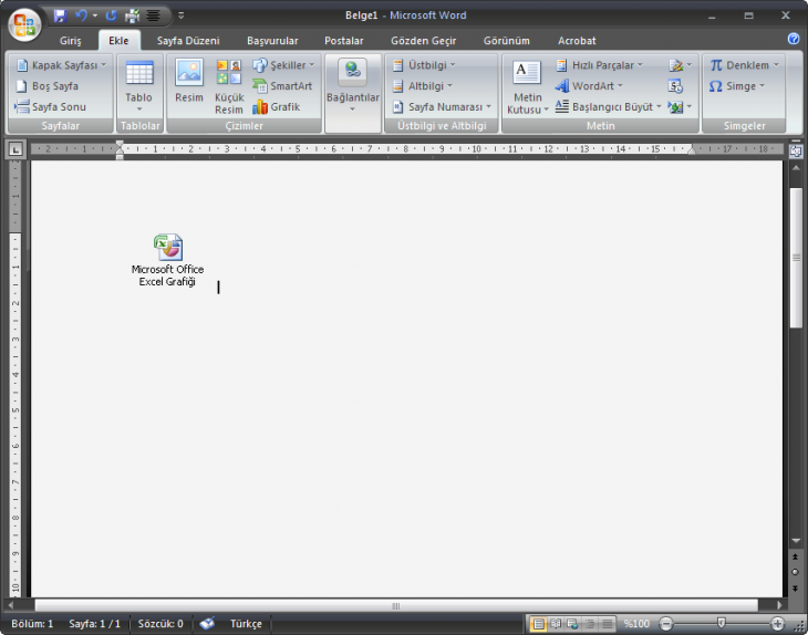Office 2007 Nesne Ekleme