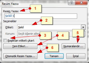 Office 2007 Resim, Tablo yada Şekil Yazısı Eklemek, Resimler Yada Tablolar Listesi Oluşturmak