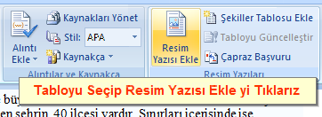 Office 2007 Resim, Tablo yada Şekil Yazısı Eklemek, Resimler Yada Tablolar Listesi Oluşturmak