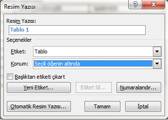 Office 2007 Resim, Tablo yada Şekil Yazısı Eklemek, Resimler Yada Tablolar Listesi Oluşturmak
