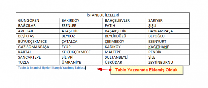 Office 2007 Resim, Tablo yada Şekil Yazısı Eklemek, Resimler Yada Tablolar Listesi Oluşturmak