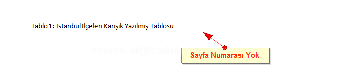 Office 2007 Resim, Tablo yada Şekil Yazısı Eklemek, Resimler Yada Tablolar Listesi Oluşturmak