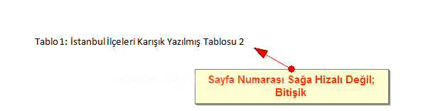 Office 2007 Resim, Tablo yada Şekil Yazısı Eklemek, Resimler Yada Tablolar Listesi Oluşturmak