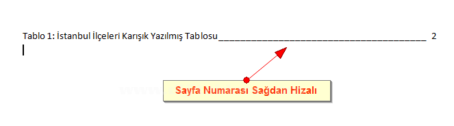 Office 2007 Resim, Tablo yada Şekil Yazısı Eklemek, Resimler Yada Tablolar Listesi Oluşturmak