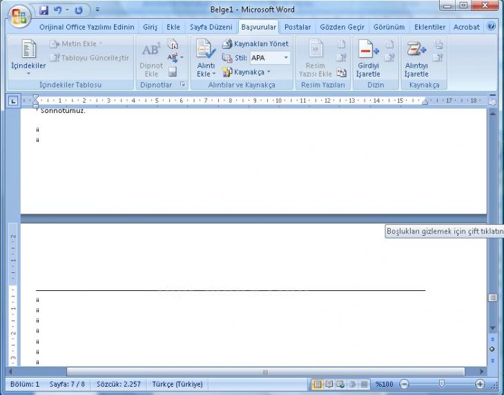 Office 2007 Dipnot Ve Sonnot Eklemek, Dipnot Ve Sonnot Penceresi