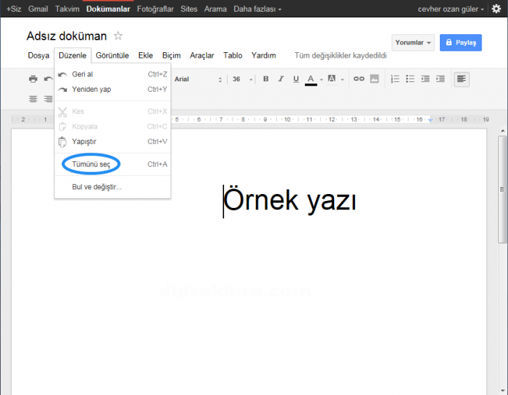 Google Docs Edit Menüsü