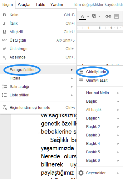 Google Dökümanlar Biçim Menüsü 2