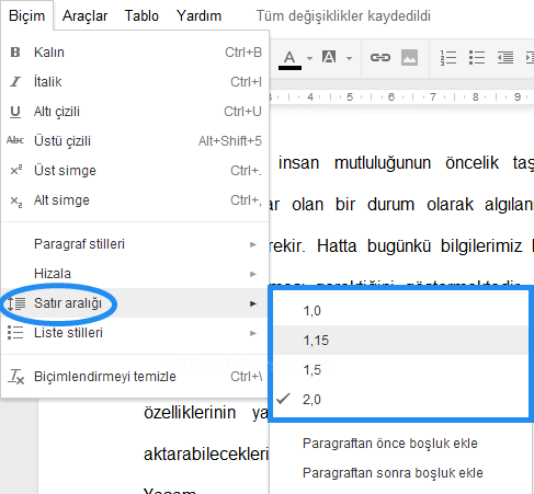 Google Dökümanlar Biçim Menüsü 2