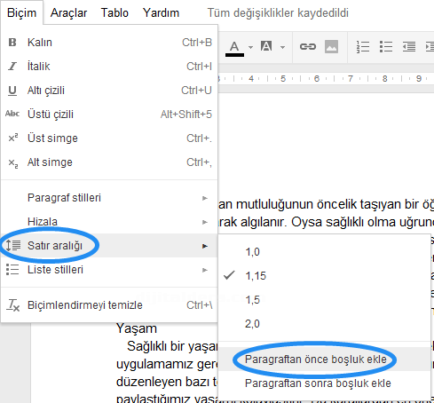 Google Dökümanlar Biçim Menüsü 2