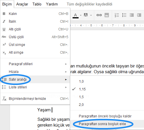 Google Dökümanlar Biçim Menüsü 2