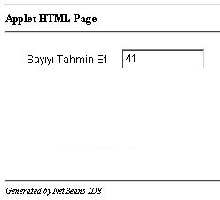 Sayı Tahmin Oyunu