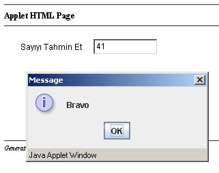 Sayı Tahmin Oyunu