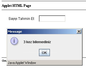 Sayı Tahmin Oyunu