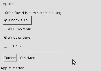 Java Applet Checkbox Örneği