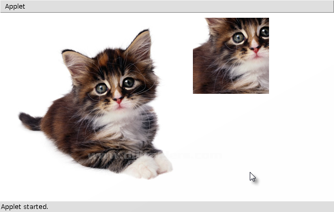 Java Applet ile Resim Kesmek
