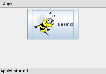 Java Applet Label Eklemek