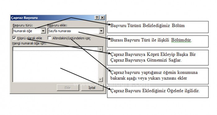 Madde İşağretleri ve Numaralandırma