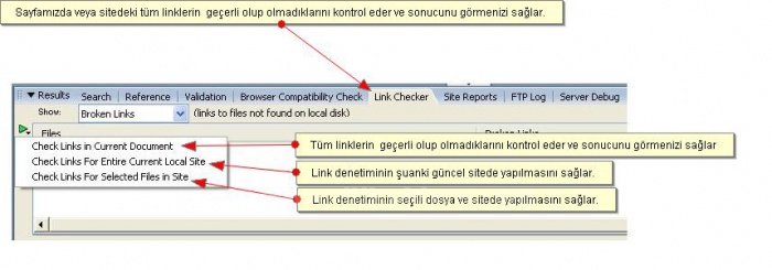 Results Paneli