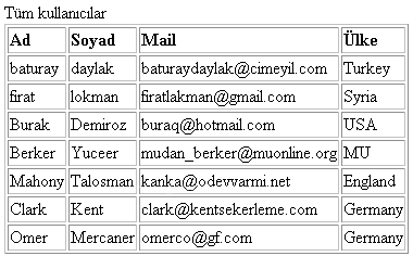 SQL Komutlarının uyğulanışı