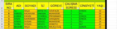 Excel ile Tablo Filitreleme