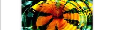 Automate Menüsünden Web Photo Galery