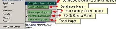 Databases Paneli Databases paneli