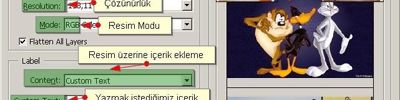 Automate Menüsünden Picture Package