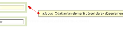 Cssin Html İçerisinde Kullanım Şekilleri, Pseudo Class Örnekleri