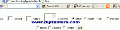 Java Applet Üzerine Form Nesnelerini Eklemek