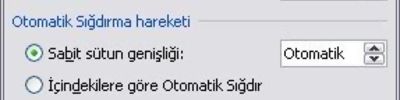 World 2007 - Ekle Menüsündeki Tablo Seçenekleri