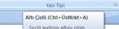 Word 2007 Popüler Seçenekleri