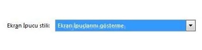 Word 2007 Seçenekleri Popüler Seçeneği