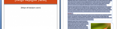 Office2007 Word Şablonları
