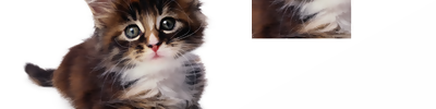 Java Applet ile Resim Kesmek