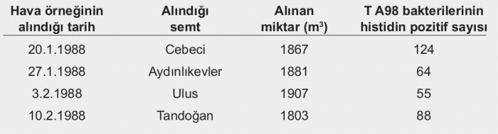 Örnek Biyoloji Proje Raporu