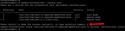 Java Debian 10'a (Buster) Nasıl Kurulur?