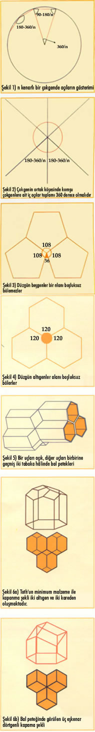 Bal Peteğindeki Matematiksel Sırlar