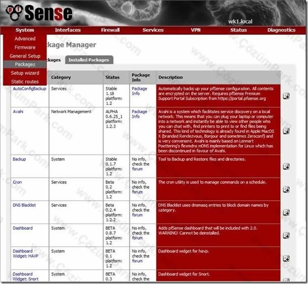 Pfsense Squid ve SquidGuard Paketlerinin Kurulması