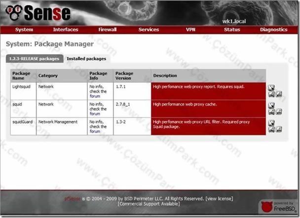 Pfsense Squid ve SquidGuard Paketlerinin Kurulması