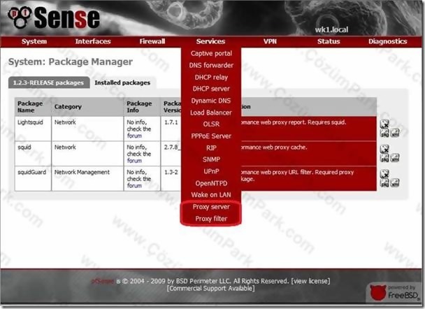 Pfsense Squid ve SquidGuard Paketlerinin Kurulması