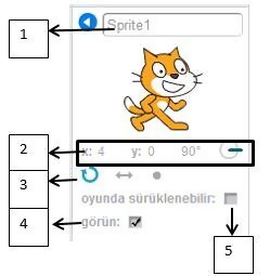 Scratch Nedir?