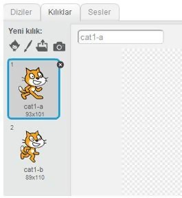 Scratch Nedir?