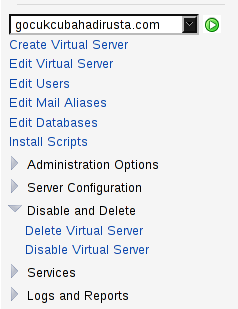 Virtualmin'e Yeni Web Sitesi Host Etmek