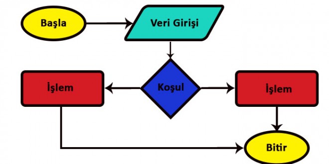 Algoritma Nedir?