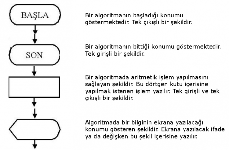 Algoritma Nedir?