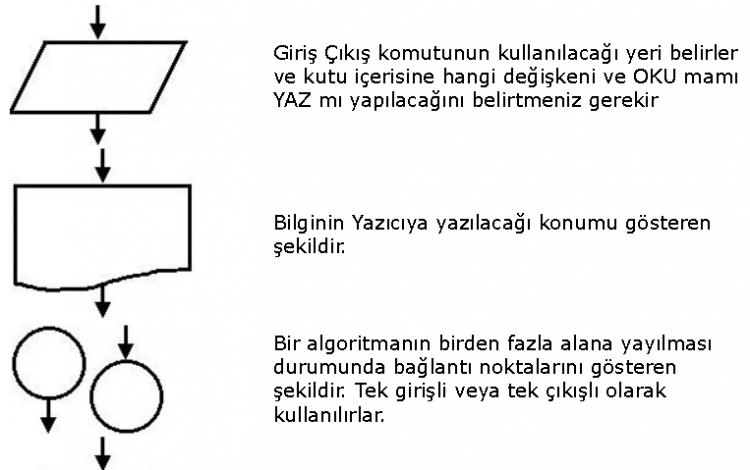 Algoritma Nedir?